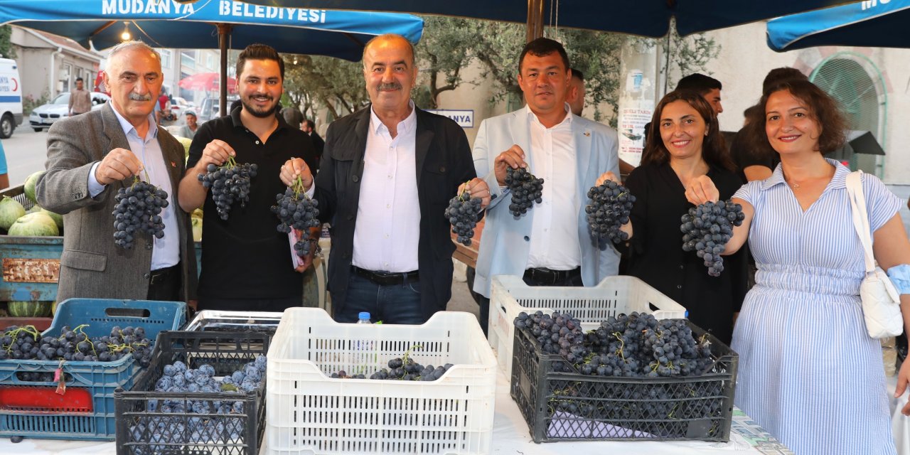 MUDANYA'DA BAĞBOZUMU ŞENLİĞİ