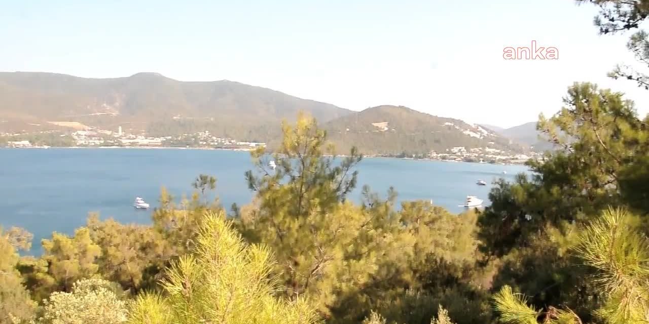 BODRUM'DA ORMANLIK ALANDA MANGAL YAKAN OTOBÜS ŞOFÖRLERİNE CEZA