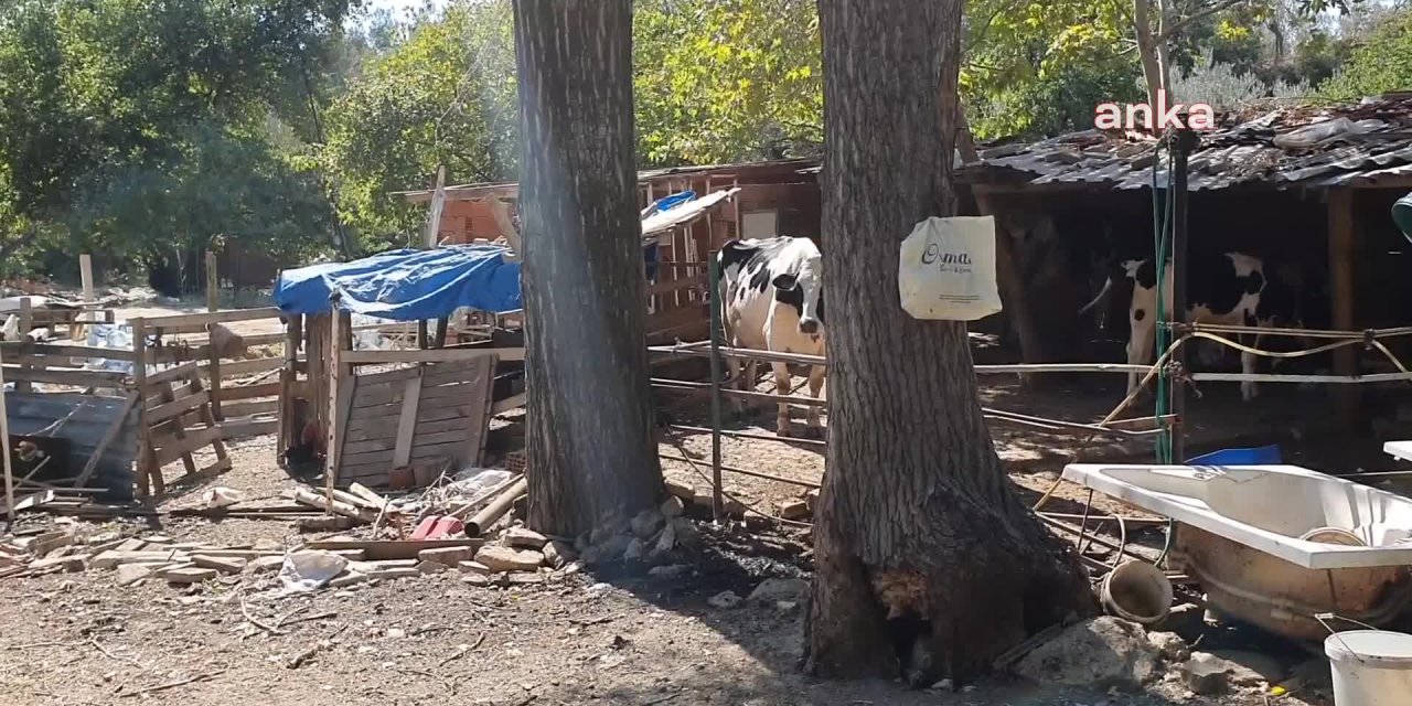 EDREMİT'TEKİ CİNAYETLE İLGİLİ SORUŞTURMADA 6 ŞÜPHELİ GÖZALTINA ALINDI