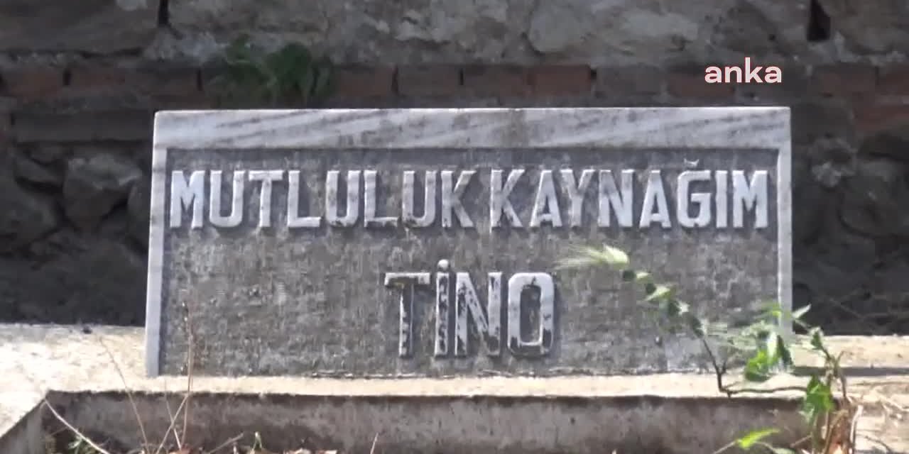 ESKİ UN FABRİKASINDA İKİ KÖPEK MEZARI BULUNDU