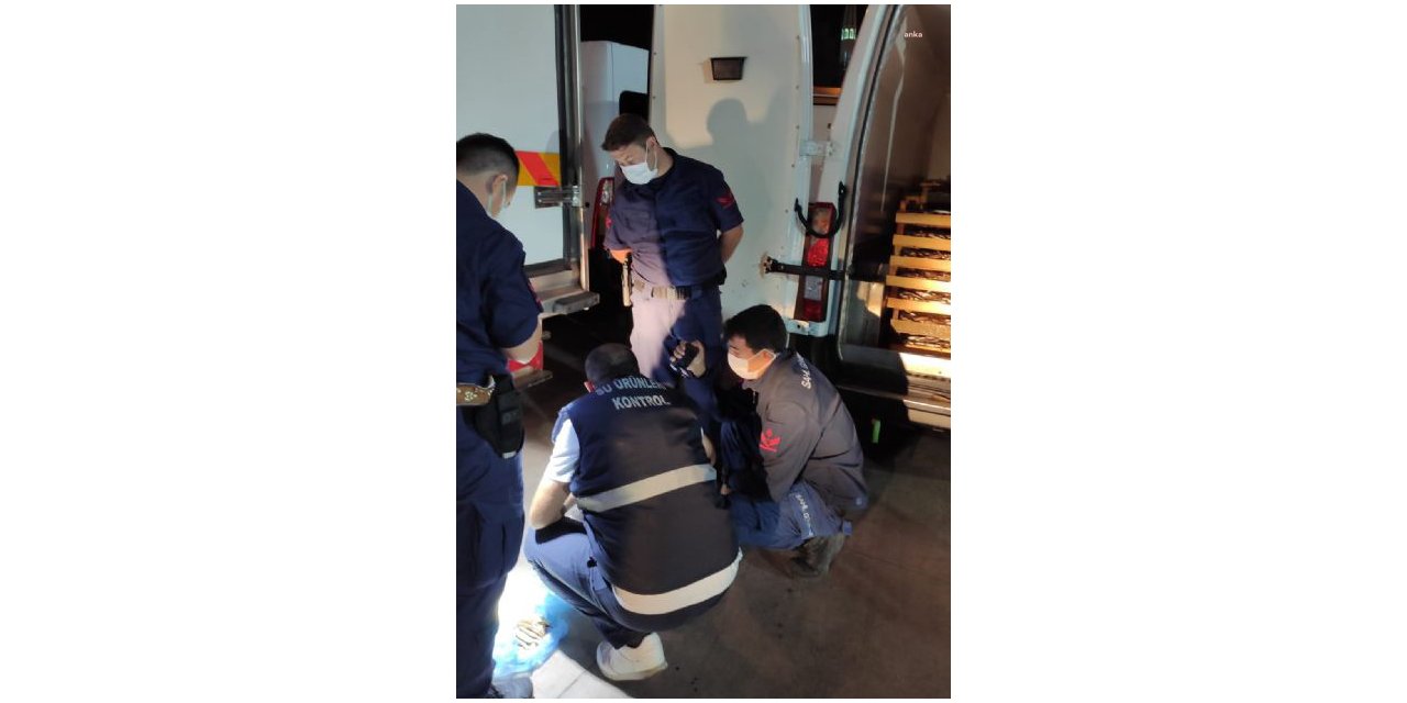 AKÇAKOCA’DA YASAL ÖLÇÜLERİN ALTINDA AVLANAN 602 KG BALIĞA EL KONULDU