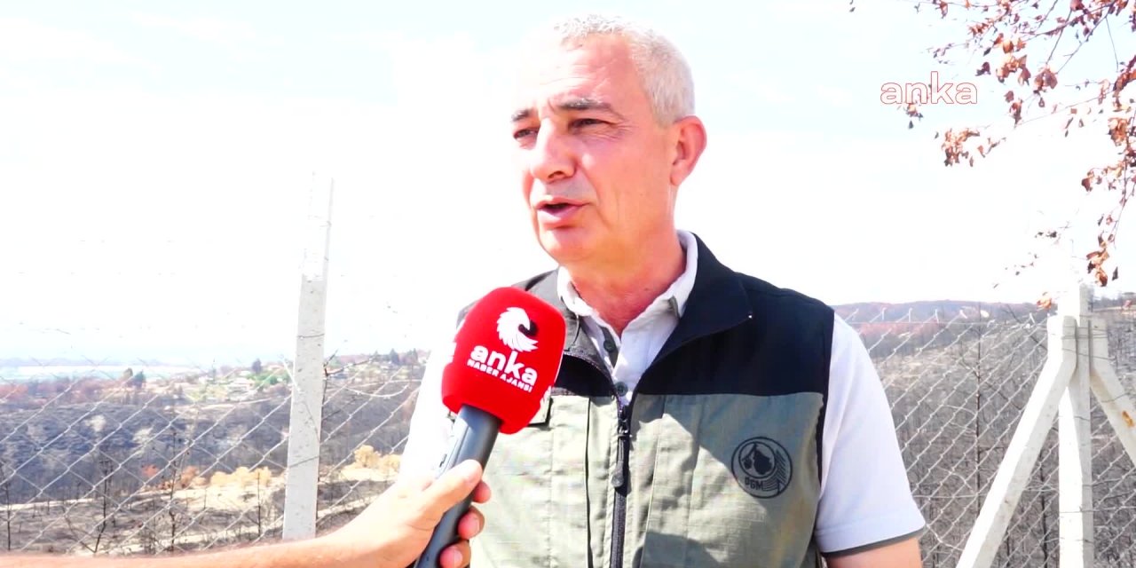 ANTALYA ORMAN BÖLGE MÜDÜRÜ VEDAT DİKİCİ: YANAN 60 BİN HEKTAR ALAN YENİDEN ORMAN OLACAK