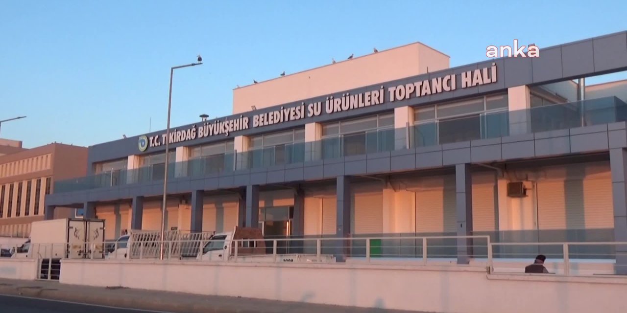 TEKİRDAĞLI BALIKÇILAR: MÜSİLAJ BALIK TÜKETİMİNİ AZALTTI