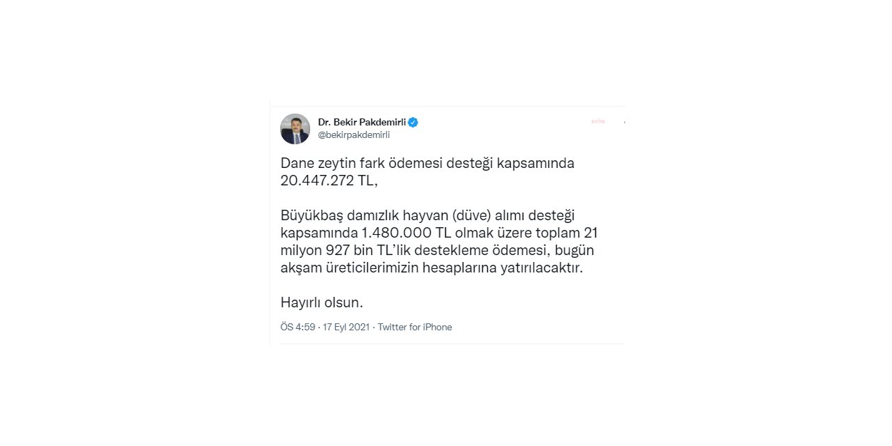 BAKAN PAKDEMİRLİ, ZEYTİN VE DAMIZLIK DESTEKLERİNİN BU AKŞAM YATIRILACAĞINI DUYURDU