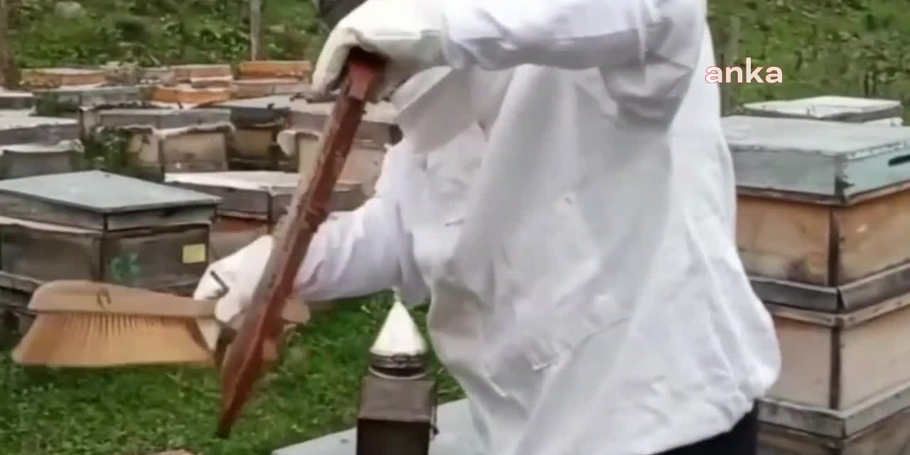 TÜRKİYE ARICILAR BİRLİĞİ BAŞKANI ŞAHİN: "BALDAKİ VERİLERİN HEPSİ YANLIŞ, ARICILARI BİRLİKLERDEN SOĞUTURSANIZ BU VERİYİ ALAMAZSINIZ"
