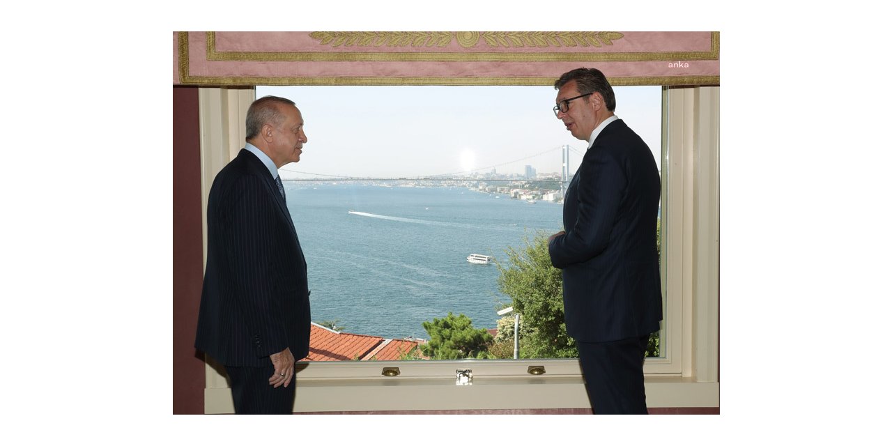 CUMHURBAŞKANI ERDOĞAN, SIRBİSTAN CUMHURBAŞKANI VUCİC İLE GÖRÜŞTÜ