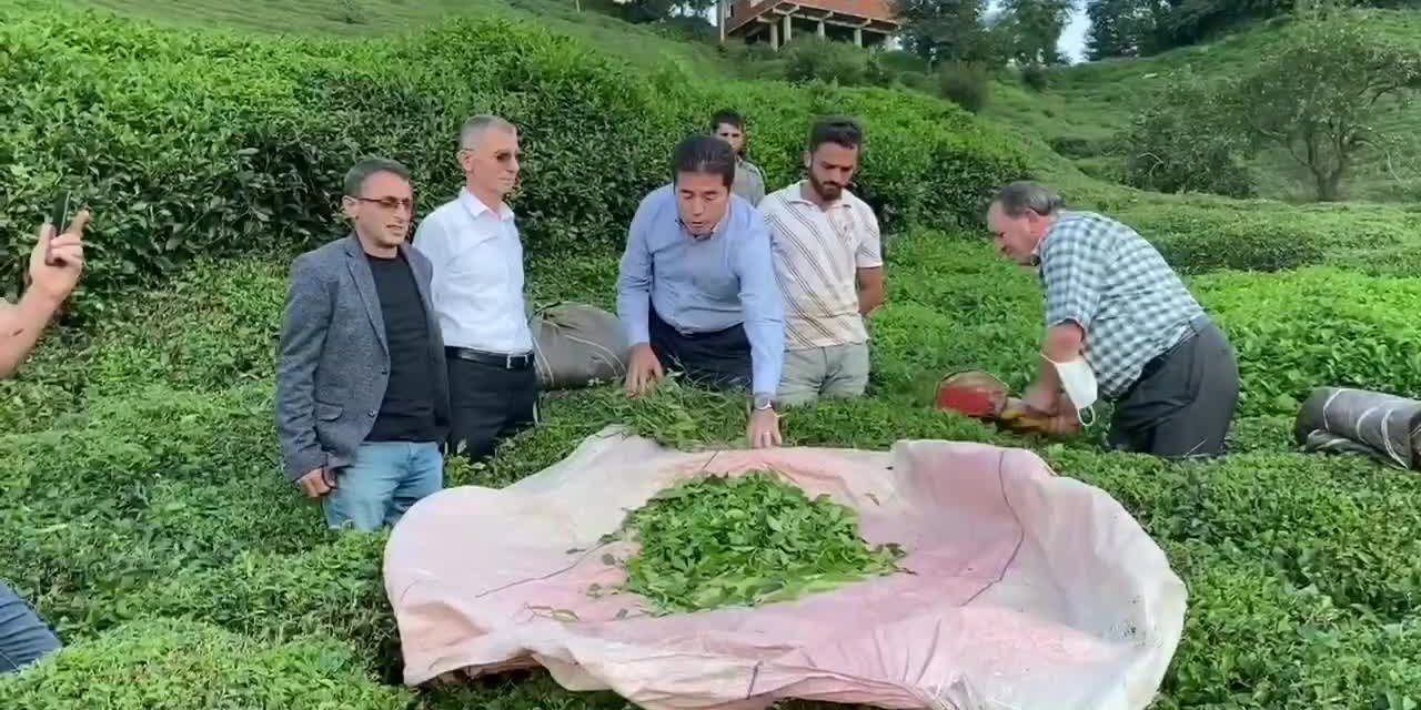 TRABZONLU ÇAY ÜRETİCİSİ: "BENİM MARKET PARAMI ALDINIZ"