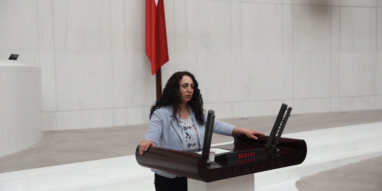 HDP’Lİ GÜLÜM VE IŞIK, ÜNİVERSİTE ÖĞRENCİLERİNİN BARINMA SORUNUNU MECLİS'E TAŞIDI