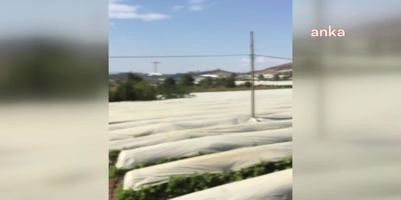 MANİSA VALİLİĞİ YENİ JES ALANLARI İÇİN İHALE AÇTI