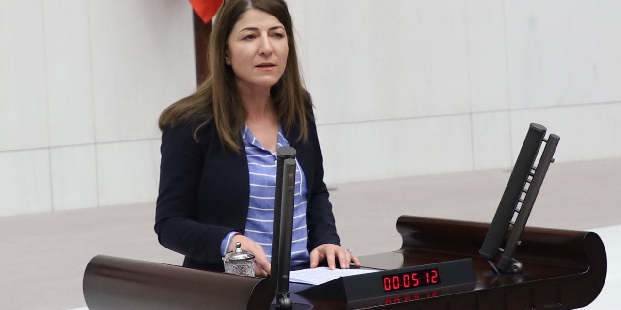 HDP, ÜSKÜDAR BELEDİYESİ'NİN VALİDEBAĞ KORUSU'NA GİRMESİNİ MECLİS GÜNDEMİNE TAŞIDI