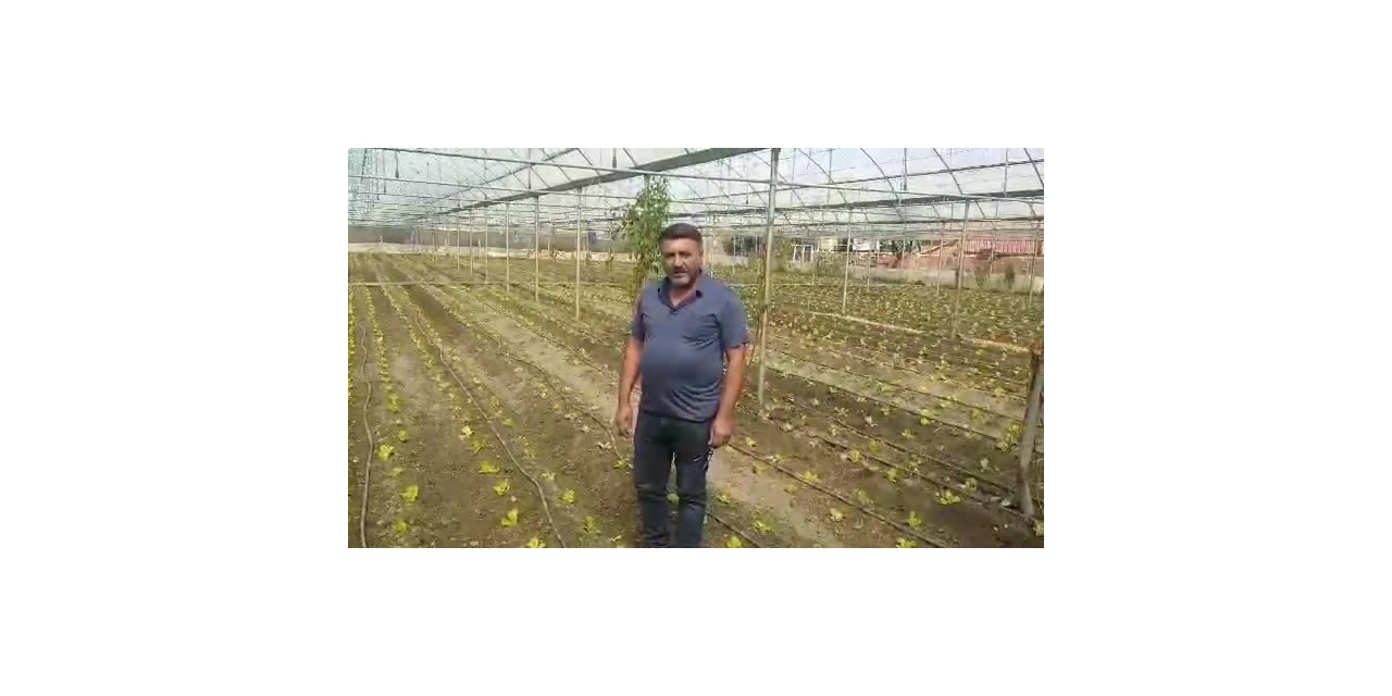 AMASYALI ÇİFTÇİDEN BAKAN PAKDEMİRLİ’YE DAVET: "GELİN HASAT EDELİM, SATALIM. KİM KAZANIYOR, KİM KAYBEDİYOR?”