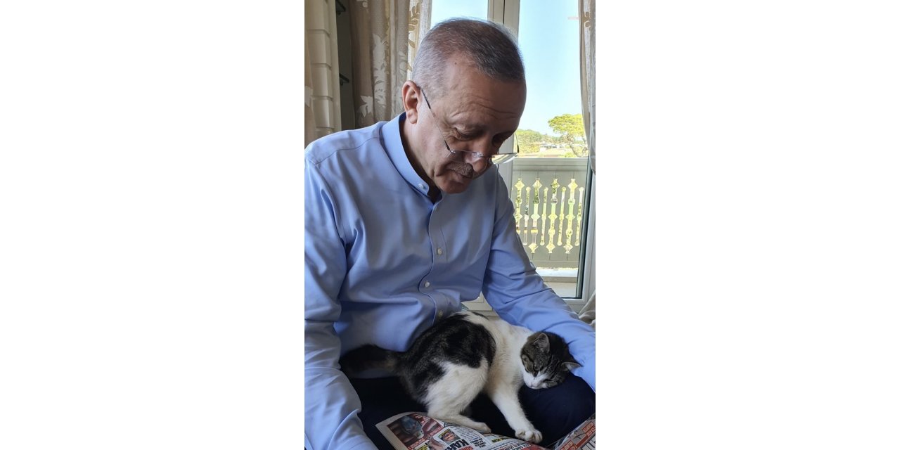CUMHURBAŞKANI ERDOĞAN'DAN KEDİLİ PAYLAŞIM