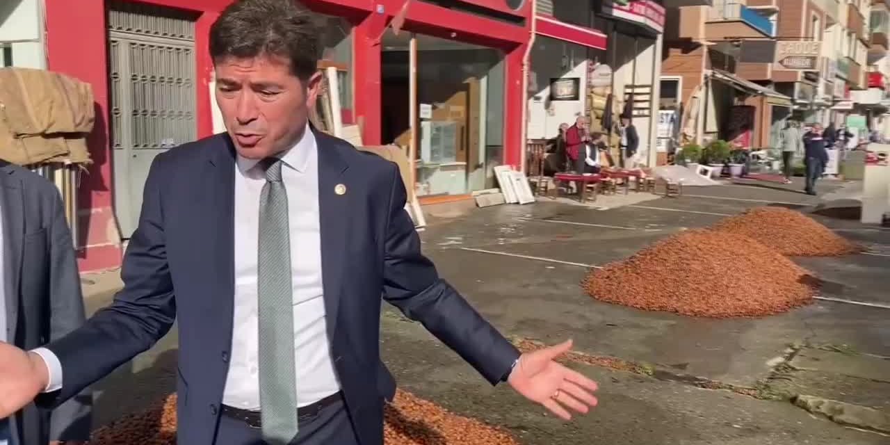 FINDIĞIN FİYATI 23 TL'YE DÜŞTÜ: "TMO'YA GİDEN HER 10 KİŞİDEN 7’SİNİN FINDIĞI GERİ DÖNÜYOR"