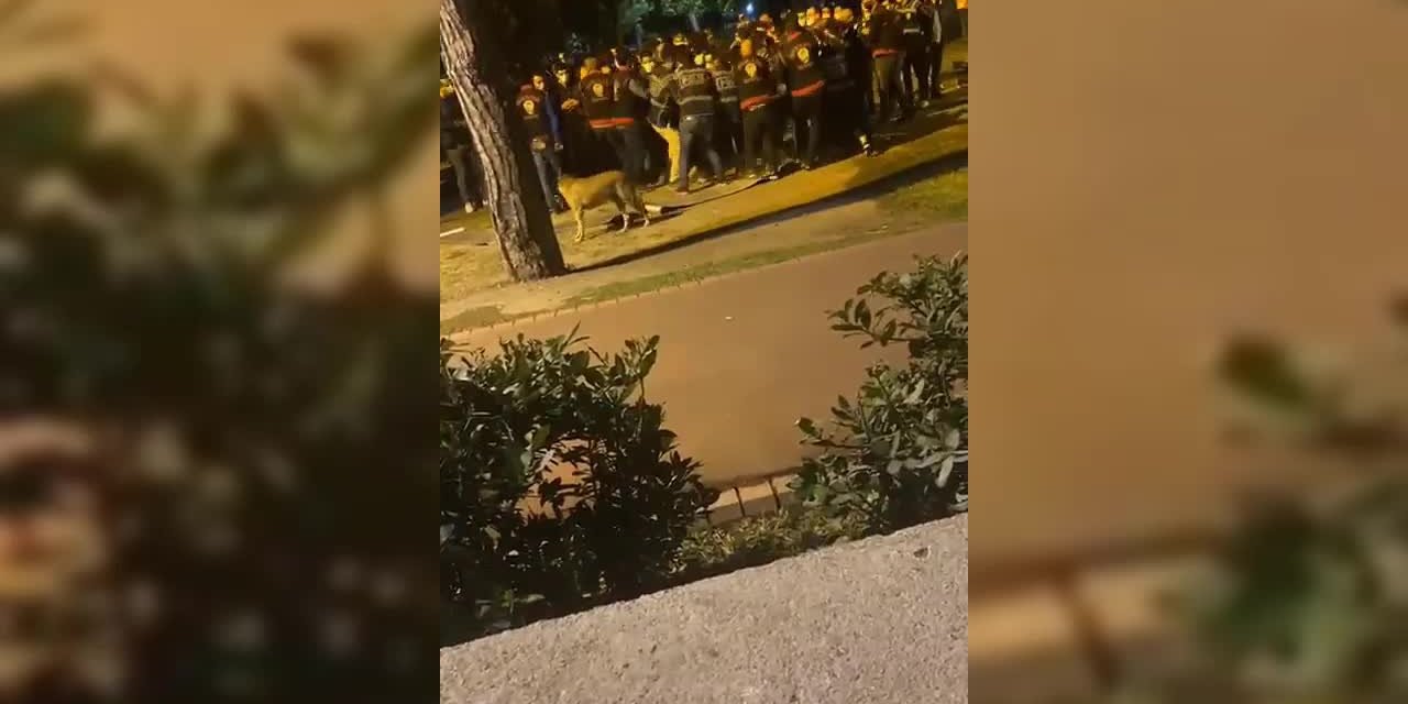 İZMİR'DE YURT EYLEMİ YAPAN ÖĞRENCİLERE TERS KELEPÇELİ GÖZALTI