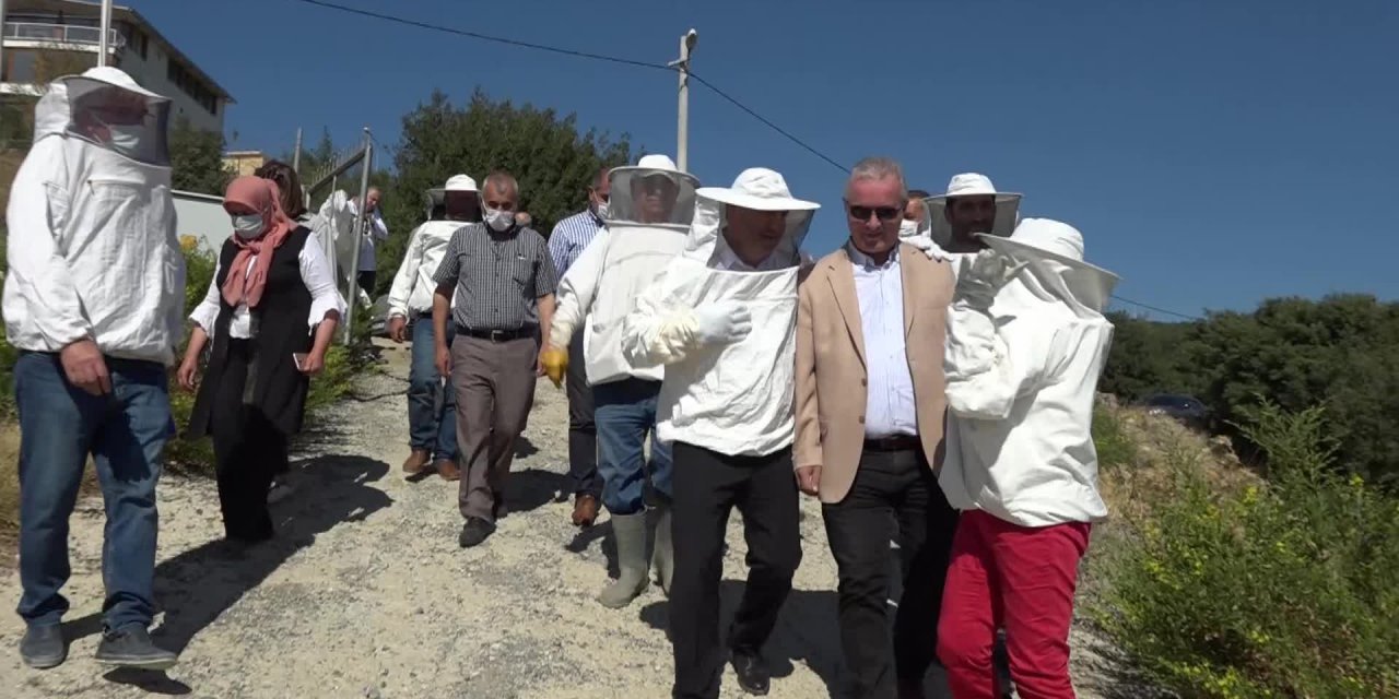 BORNOVA'DA İLK BAL SAĞIMI YAPILDI
