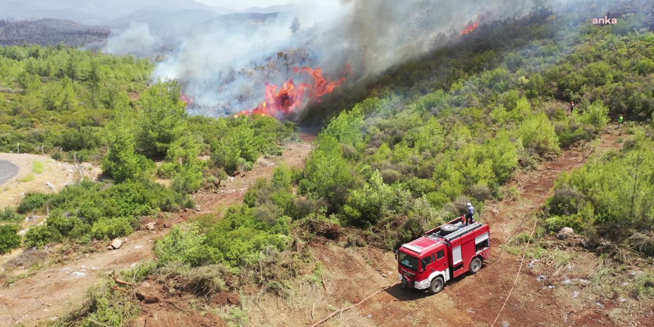 SAYIŞTAY: ORMAN YANGINI EYLEM PLANLARI TAMAMLANMADI