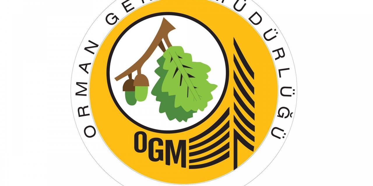 OGM’NİN GÖREV ALANINDAKİ 649 MADEN İZİN SAHASININ 152’SİNDE İZİNSİZ YAPILAR VE İZİN AMACI DIŞINDA KULLANIMLAR TESPİT EDİLDİ