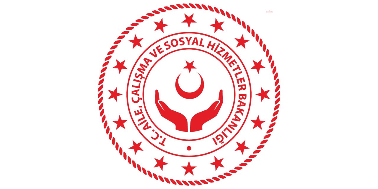 SAYIŞTAY, ÇALIŞMA İZNİ BİTEN YABANCILARIN TAKİP EDİLMEMESİ VE ŞÜPHELİ ENGELLİ RAPORLARINA İŞARET ETTİ
