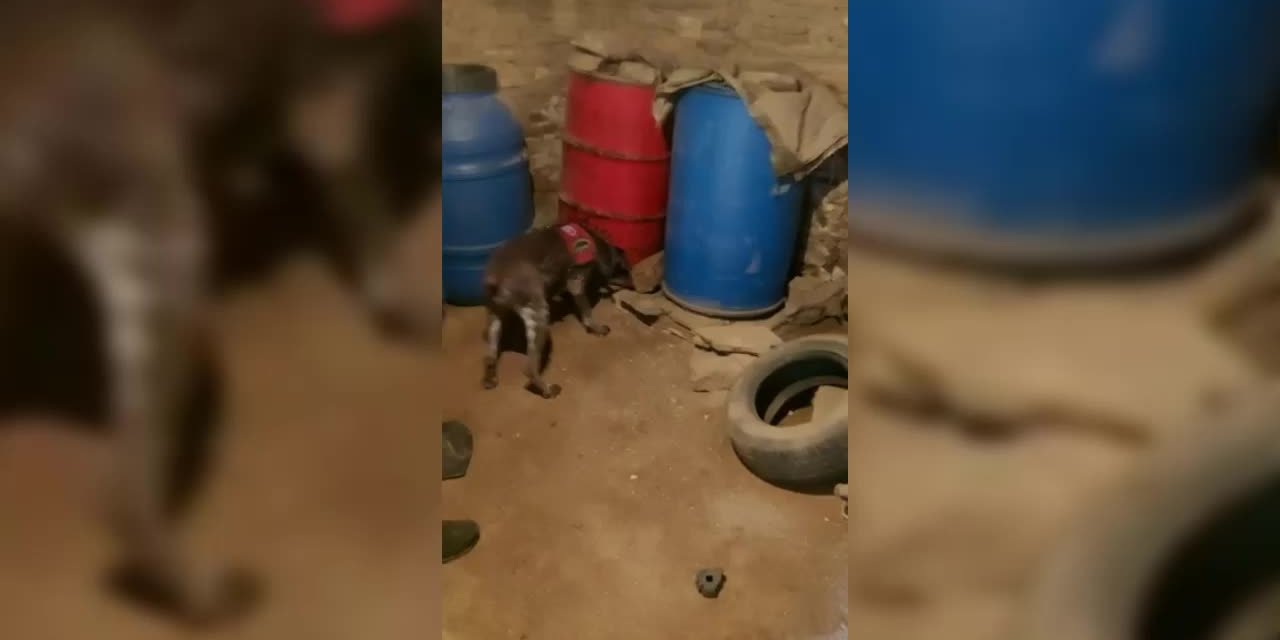İZMİR'DE UYUŞTURUCU OPERASYONU: 2 KİŞİ GÖZALTINA ALINDI