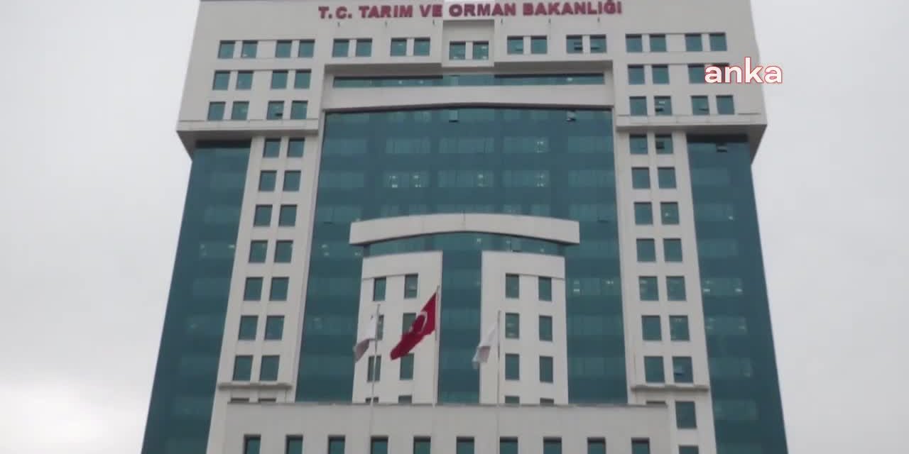 SAYIŞTAY RAPORU: "TARIM VE ORMAN BAKANLIĞI KOOPERATİFLERE VERDİĞİ KREDİLERİ TAKİP ETMİYOR"