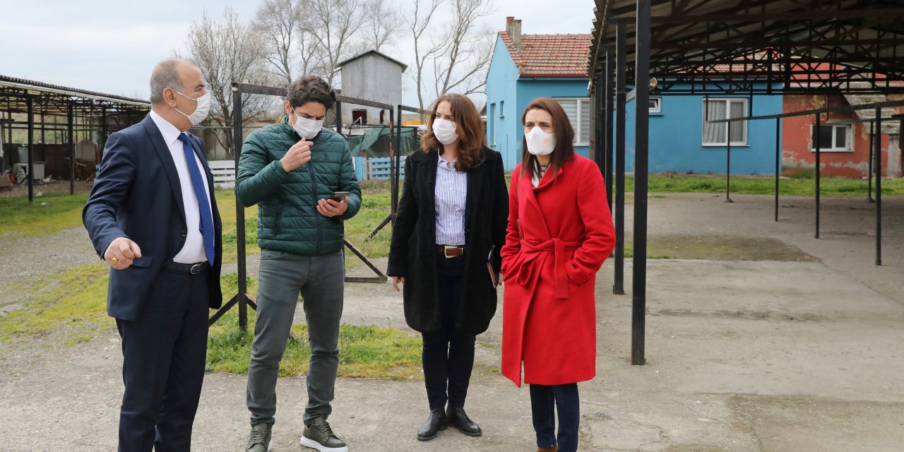 MUDANYA BELEDİYESİ'NDEN SOKAK HAYVANLARI REHABİLİTASYON MERKEZİ VE BARINAK