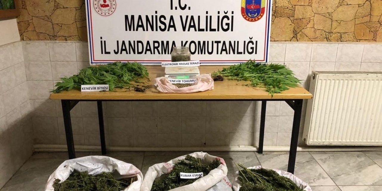MANİSA'DA JANDARMA'DAN UYUŞTURUCU OPERASYONU