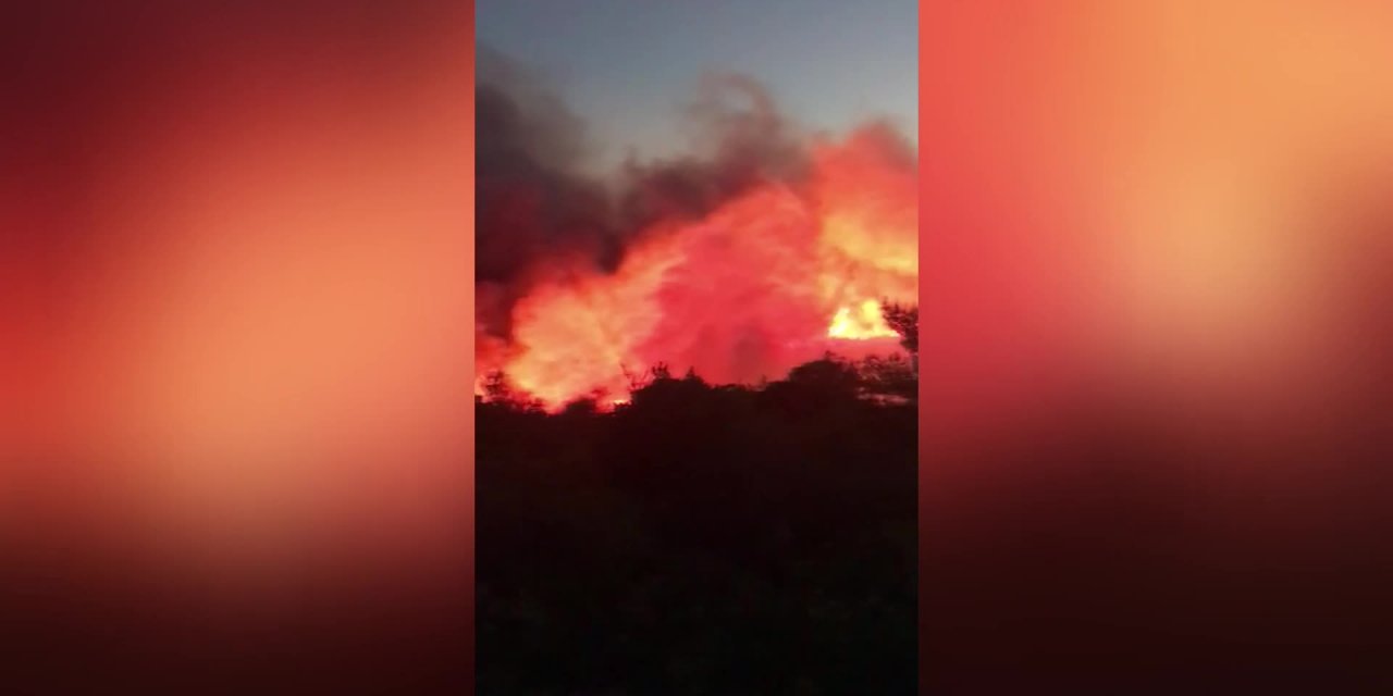 KARABURUN'DA ORMAN YANGINI