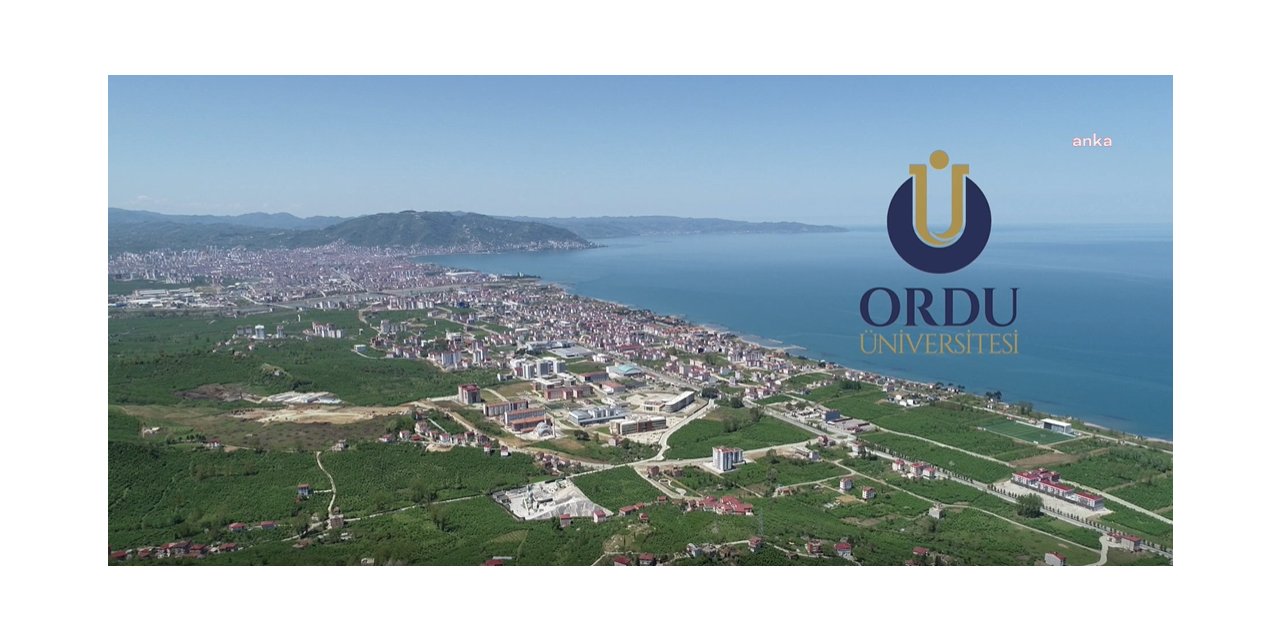 SAYIŞTAY'DAN, ORDU ÜNİVERSİTESİ'NE "LİYAKAT" HATIRLATMASI: 65 ÖĞRETİM ÜYESİİLANININ 61'İNE YALNIZCA BİRER KİŞİ BAŞVURABİLMİŞ
