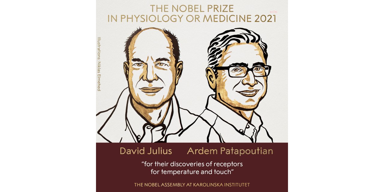 NOBEL TIP ÖDÜLÜ'NÜ DAVİD JULİUS VE ARDEM PATAPOUTİAN KAZANDI