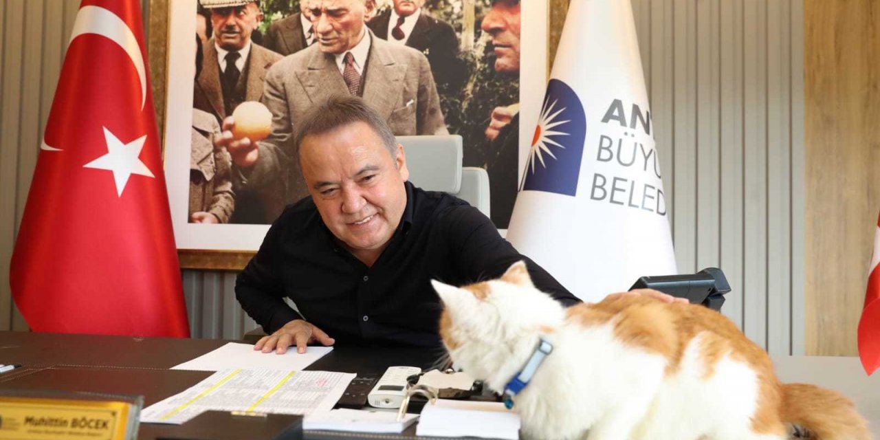 MUHİTTİN BÖCEK, HAYVANLARI KORUMA GÜNÜ’NÜ, ELAZIĞ DEPREMİNDE SAHİPLENDİĞİ KEDİSİ TOROS’LA KUTLADI