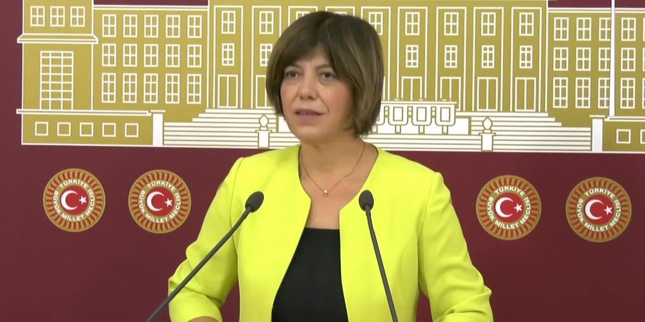 HDP’Lİ BEŞTAŞ’TAN ERDOĞAN’A: “BİR ÖNERİM VAR BİR MEDYA PRODÜKSİYON ŞİRKETİ KURABİLİR, SİYASETİ DE BIRAKABİLİR UZUN YILLAR OLDU”