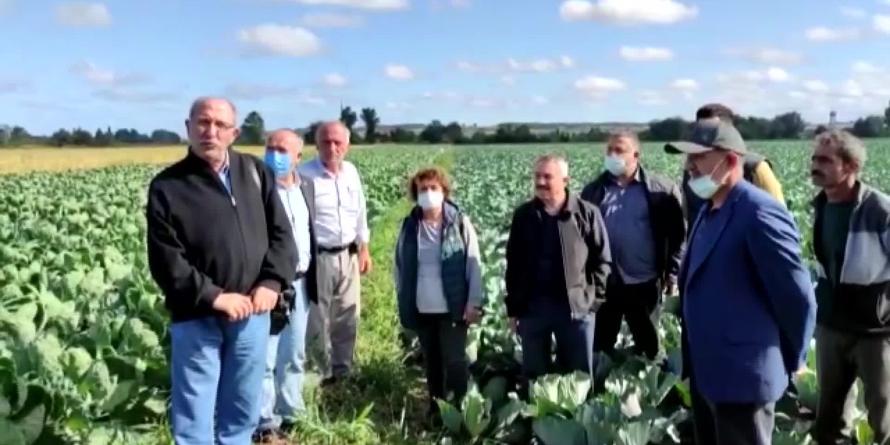 AKP'Lİ SAMSUN BÜYÜKŞEHİR'E ÇİFTÇİLERİN TEPKİSİ SÜRÜYOR: "TARIM ARAZİMİZİ ELİMİZDEN ALDIKLARINDA NE YAPACAĞIZ; ÇOCUKLAR, VATANDAŞ NE YİYECEK?"