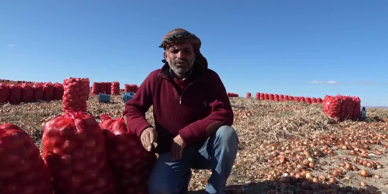 MEVSİMLİK TARIM İŞÇİSİ: "ALTI AYDIR BURADAYIZ, EKİYORUZ BİÇİYORUZ EMEĞİMİZİN KARŞILIĞINI ALAMIYORUZ"