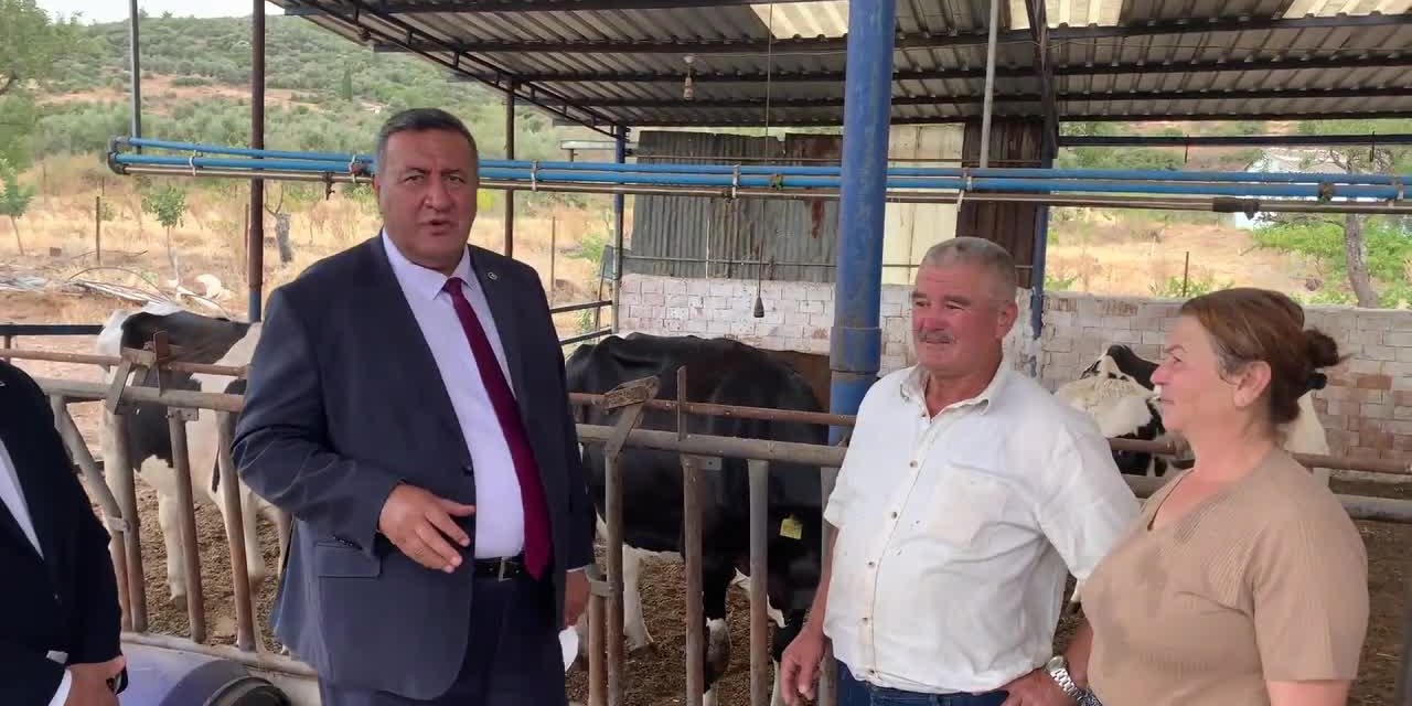 İZMİRLİ BESİCİ: "BANKALARA BORCUMU ÖDEYEBİLMEK İÇİN HAYVANLARIMIN ÇOĞUNU SATTIM"