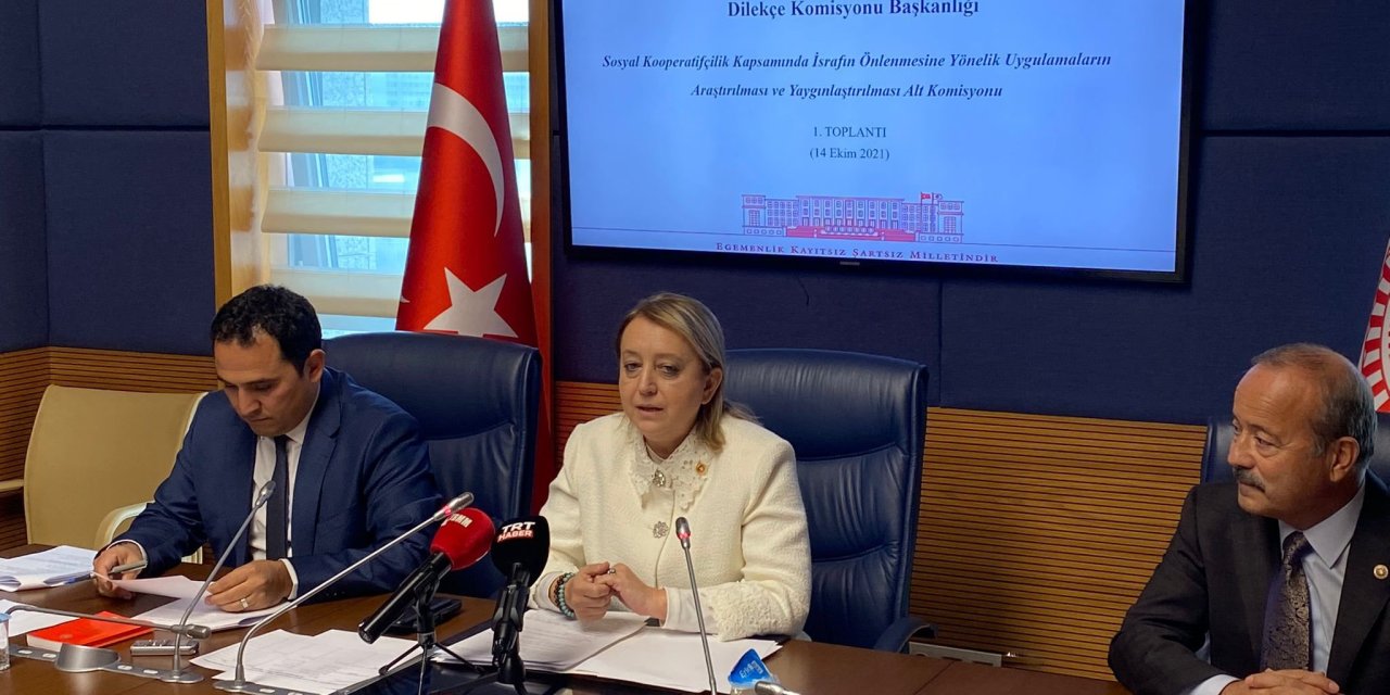 İSRAFIN ÖNLENMESİNE YÖNELİK ARAŞTIRMA KOMİSYONU'NUN BAŞKANI ARZU AYDIN OLDU
