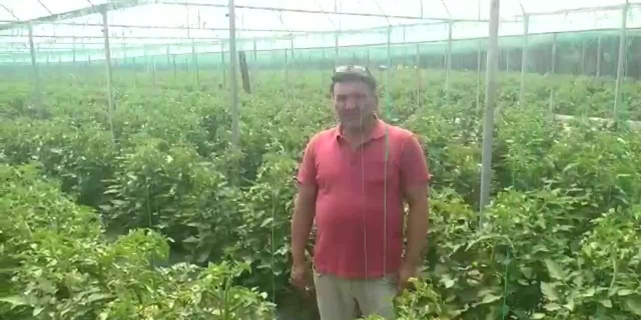 ÇİFTÇİ MEHMET KANİ: "BANA NE VERDİN DE HELALLEŞECEĞİM"