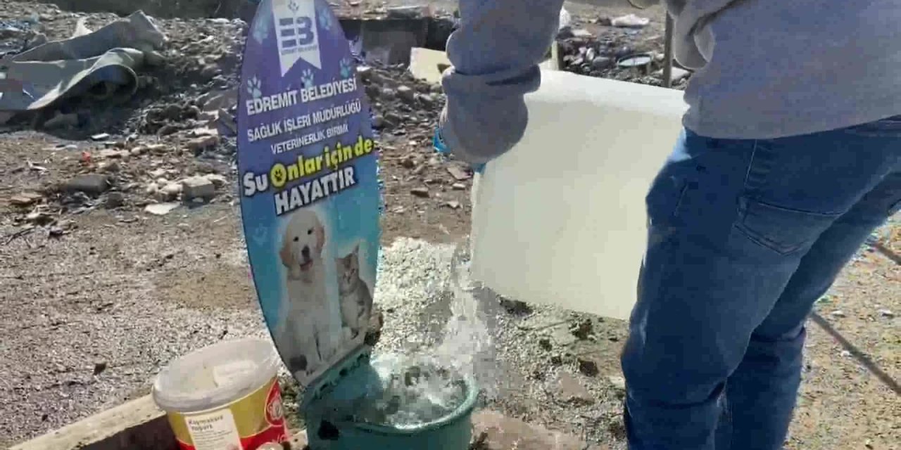 EDREMİT BELEDİYESİ, SOKAK HAYVANLARINI UNUTMUYOR
