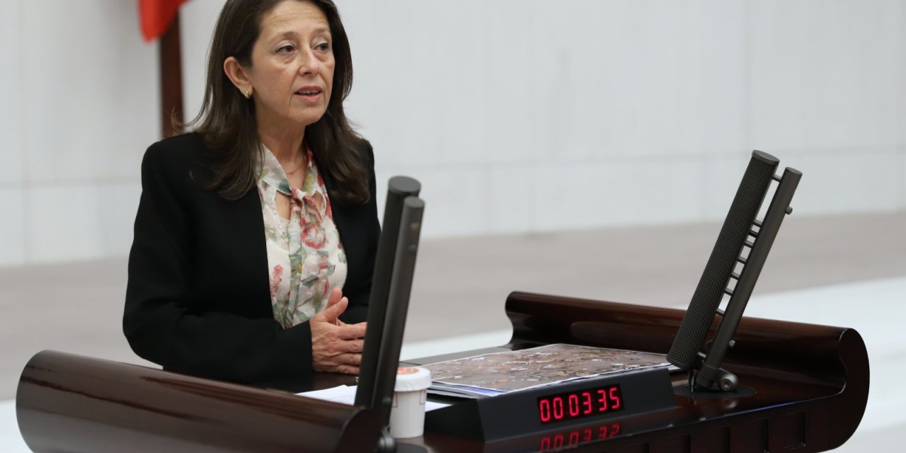 BAKAN PAKDEMİRLİ'YE TOROSLAR'DAKİ ARDIÇ KESİMİİDDİALARI SORULDU: "NEDENİ BİYOKÜTLE ÜRETİMİ YAPAN ŞİRKETE HAMMADDE SAĞLAMAK MI?"