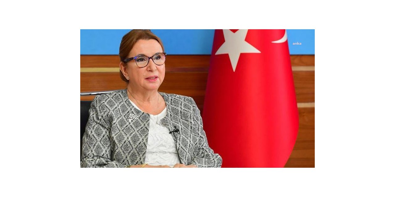 CHP, RUHSAR PEKCAN HAKKINDA MECLİS SORUŞTURMA ÖNERGESİ HAZIRLADI