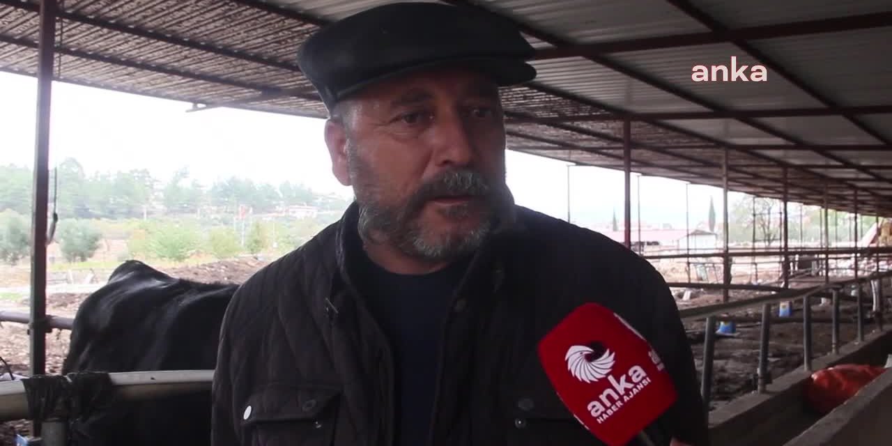 MUĞLALI ÇİFTÇİ: "BİZ NASIL AYAKTA KALACAĞIZ?"