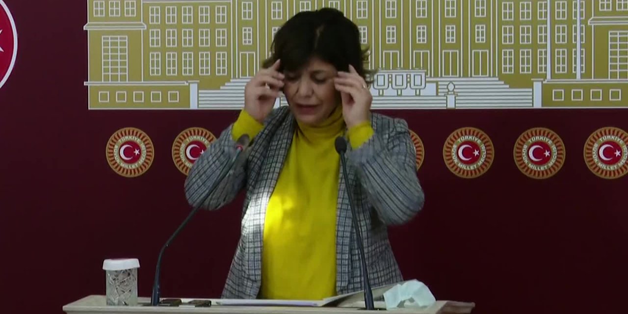 HDP'Lİ BEŞTAŞ: "İFLAS ETMİŞ BİR EKONOMİ ZAMLARLA KURTARILMAYA ÇALIŞILIYOR"