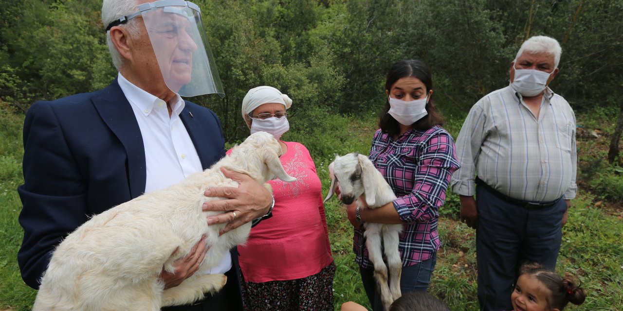 MUĞLA BÜYÜKŞEHİR'DEN 126 KADIN ÜRETİCİYE DAHA KIL KEÇİSİ DESTEĞİ