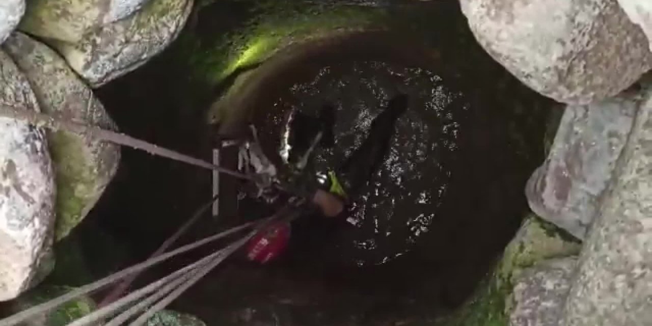 SU KUYUSUNA DÜŞEN KEÇİ KURTARILDI