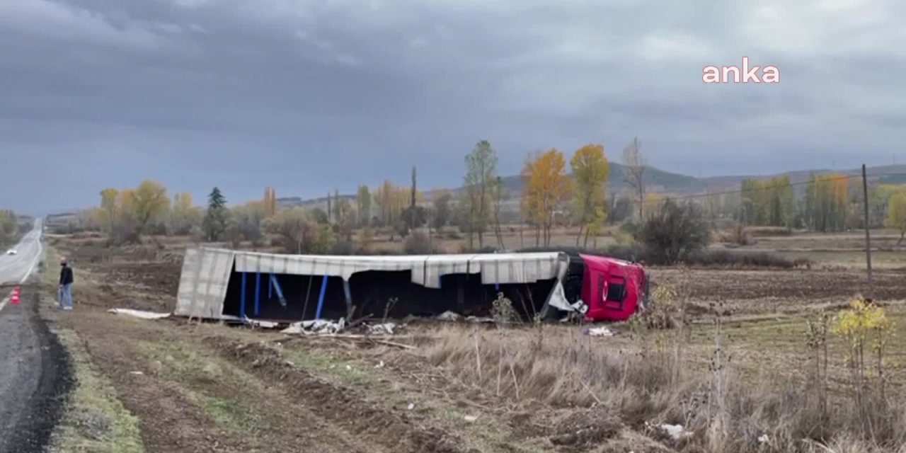 TIR DEVRİLDİ 8 BÜYÜKBAŞ HAYVAN ÖLDÜ