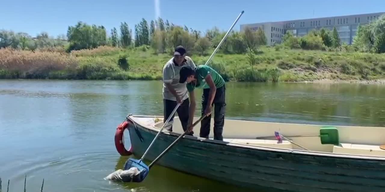 ESKİŞEHİR’DE VAHŞET: BİR KÖPEK BATMASI İÇİN TAŞLA BİRLİKTE POŞET İÇİNDE AKARSUYA ATILDI