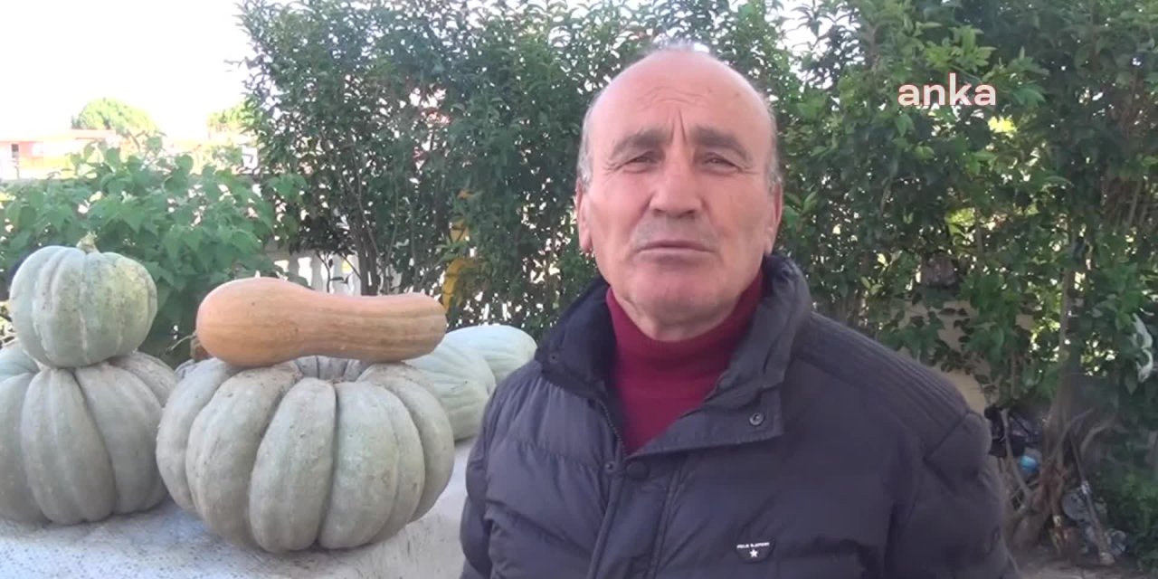 YAKLAŞIK 60 KİLOGRAM BAL KABAĞI YETİŞTİRDİ