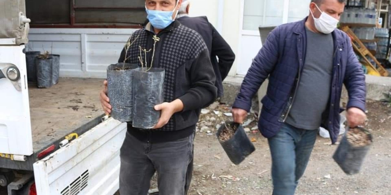 ANTALYA BÜYÜKŞEHİR’İN FİDE YARDIMLARI SÜRÜYOR