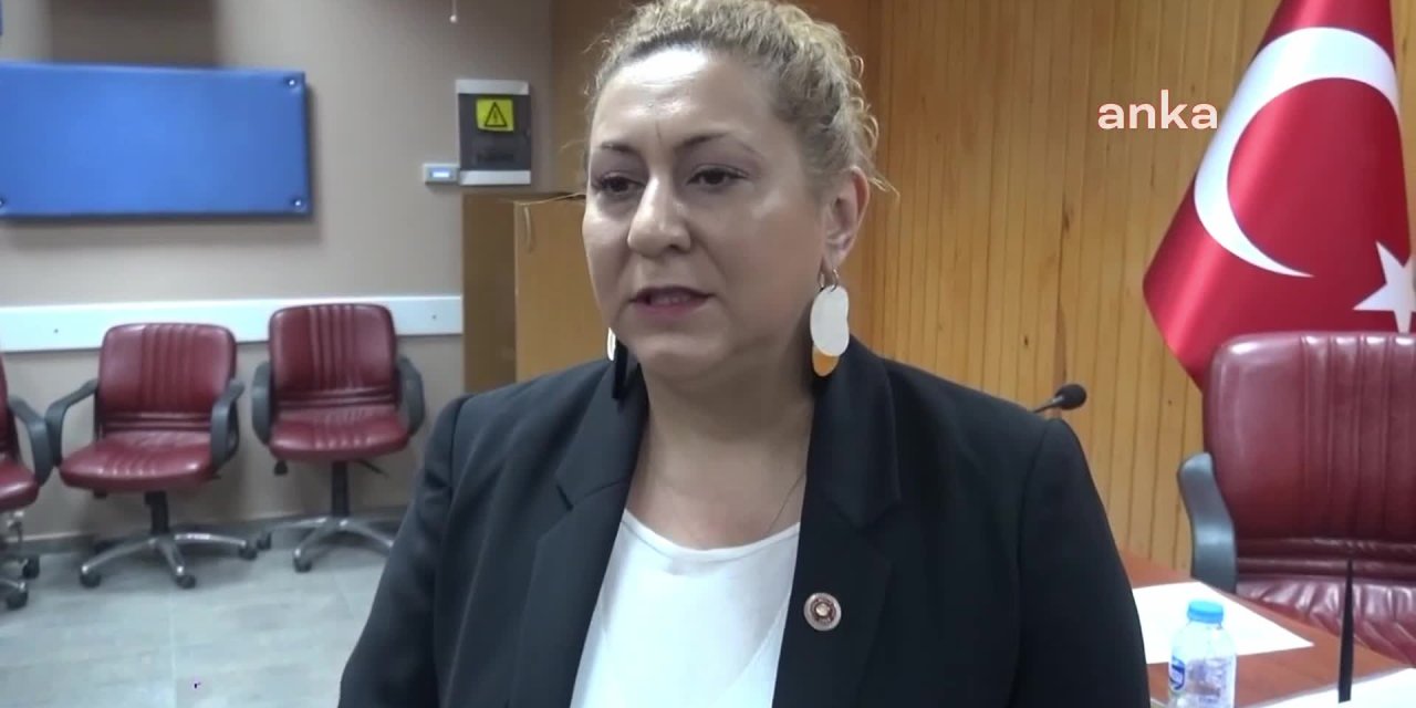 CHP'Lİ GEGEOĞLU'DAN KADIN CİNAYETİ TEPKİSİ: İSTANBUL SÖZLEŞMESİ'NDE ANLATMAYA ÇALIŞTIĞIMIZ BUYDU