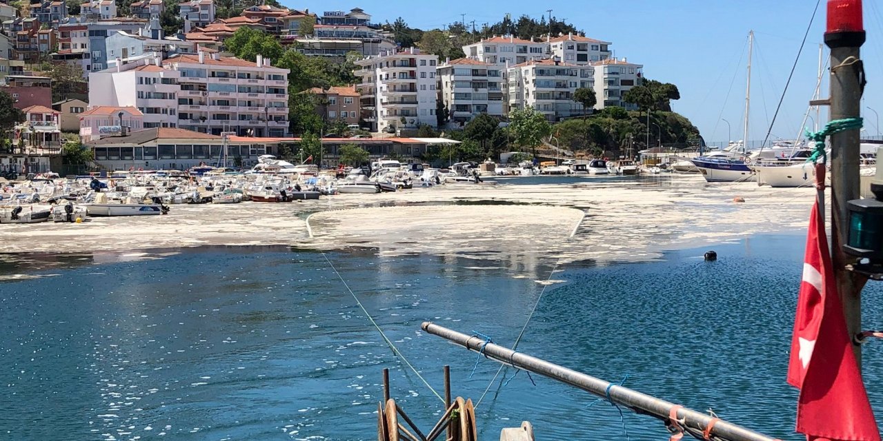 MARMARA’DA DENİZ SALYASINA KARŞI ORTAK MÜCADELE