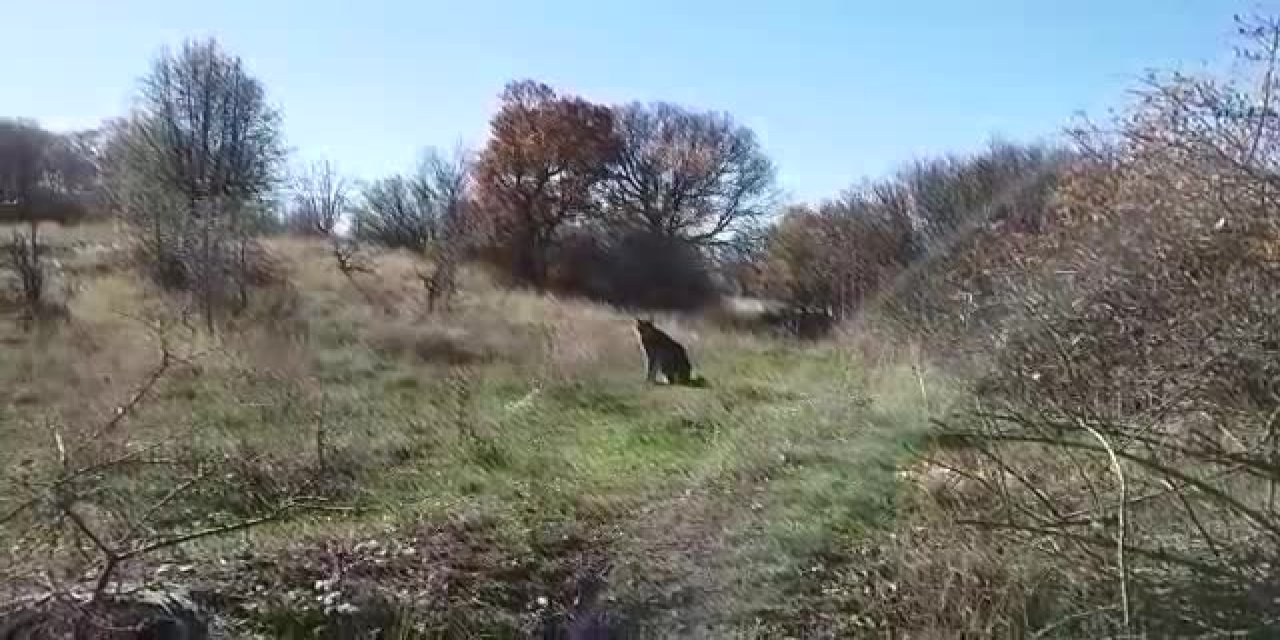 ATAŞEHİR’DE DÜNYA DANS GÜNÜ ŞOV